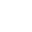 verify icon