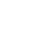 High Security Standards